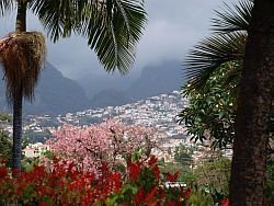 Vakantie op Madeira - 1