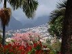 Vakantie op Madeira - 1 - Thumbnail
