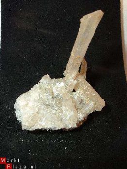 Sicilia #4 Seleniet of Gips Kristal - 1