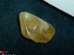 #6 Barnsteen, Trommelsteen Amber tumbled stone - 1 - Thumbnail