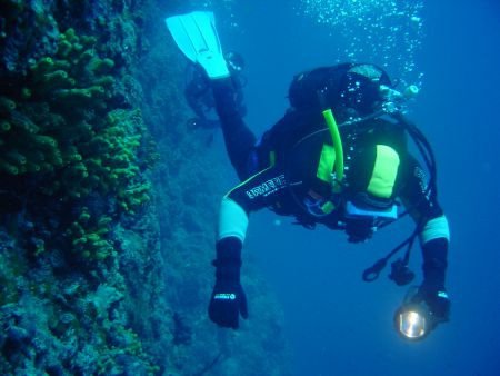 Scuba diver-Introduktieles-Duikcursus-Duikles-Snorkelcursus - 1