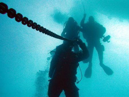 Scuba diver-Introduktieles-Duikcursus-Duikles-Snorkelcursus - 1