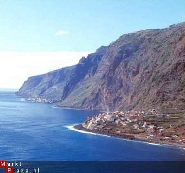 Madeira Eiland - Landhuis te huur (Portugal) - 1