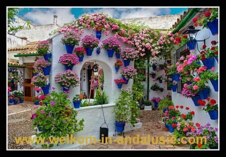 spanje mei patios en Cordoba bezoeken elke zondag in mei - 1