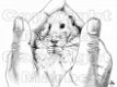 DIGI Marbo Dieren 004 Hamster in handen - 1 - Thumbnail