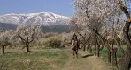 Wandelvakantie Sierra Nevada - 3 - Thumbnail