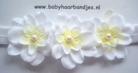 baby haarbandjes. - 1