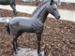 bronzen paarden - 1 - Thumbnail