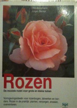 Rozen, Otto Bunemann, Jurgen Becker, - 1