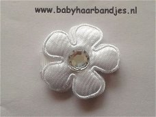 baby klitteband haarspeldjes /babyhaarbandjes