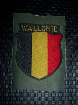 Armschild Wallonie WO2 - 1