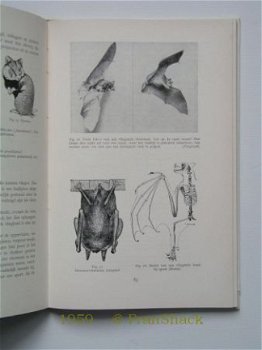 [1967] Dierkunde dl 1, Kreutzer ea, Noordhoff - 4