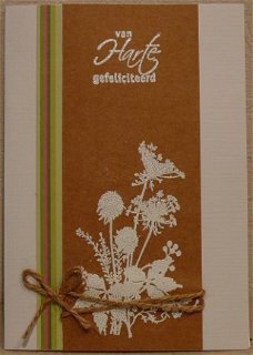 Felicitatiekaart 17: Witte embossing bloemen