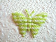 Geruite vlinder ~  2 cm ~ Groen