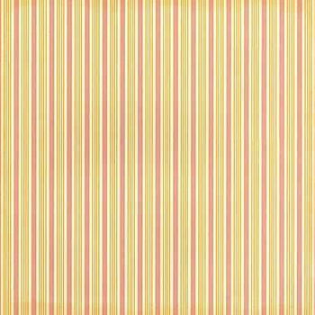 NIEUW scrappapier Coral Couture NR 22 Coral Stripes van DCWV - 1