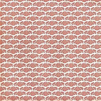 NIEUW glitter papier Coral Couture 13 Peach Floral van DCWV - 1