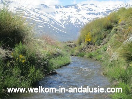 vakantiehuisjes in de bergen zuid spanje, alpujarra, sierra - 1