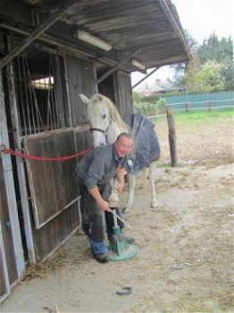 hoefsmid bart zorgt voor uw paarden - 1