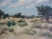 Soesterduinen 1951 - Chr. de Wit - 1 - Thumbnail