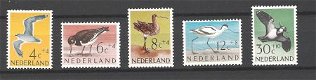 Nederland 1961 Zomerzegels Vogels postfris - 1 - Thumbnail
