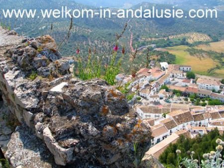 overwinteren in spanje, overwinteren in andalusie met hond - 1