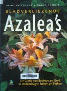 Bladverliezende azalea's, Heidi Goethals, Frans