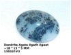 130107#3 Cabochon Dendriet agaat 18 * 13 * 5 MM - 1 - Thumbnail