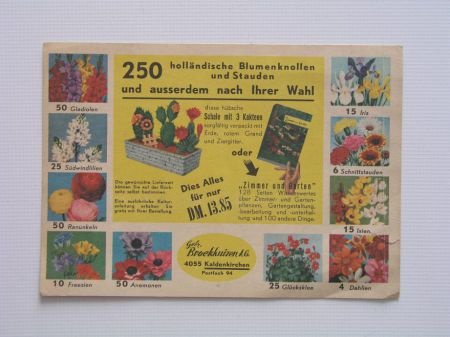 [1965~] Gebr. Broekhuizen AG, Bloembollen - 1
