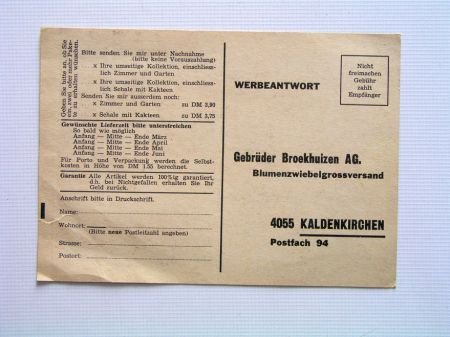 [1965~] Gebr. Broekhuizen AG, Bloembollen - 2