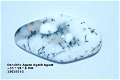 130155#2 Cabochon free form Dendriet agaat 35 * 19 * 6 MM - 1 - Thumbnail