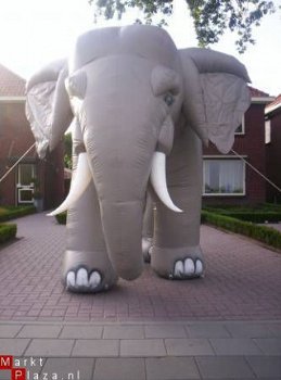 olifant huur verhuur markelo enter borne hengelo wierden - 1