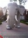 olifant huur verhuur hellendoorn marieenheem haarle goor - 1 - Thumbnail