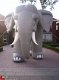 huur verhuur olifant hulzen vriezenveen hoge hexel daarle - 1 - Thumbnail