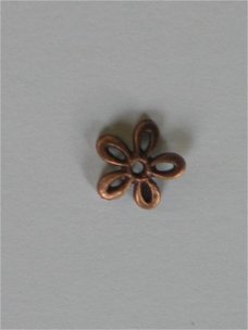 copper flowertop