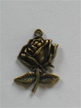 bronze rose - 1