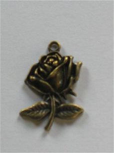 bronze rose