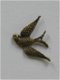 Bronze bird - 1 - Thumbnail