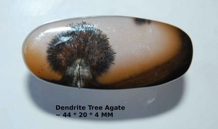 Peacock Cabochon free form Dendriet agaat 44 * 20 * 4 MM - 1