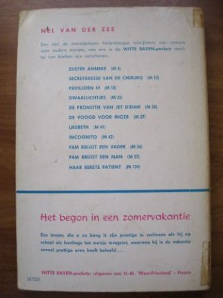 Het begon in een zomervakantie - Nel van der Zee - Afbeelding 2