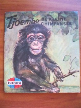 Tjoembo de kleine chimpansee - Corrie Scherrewitz - 1