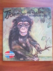 Tjoembo de kleine chimpansee - Corrie Scherrewitz