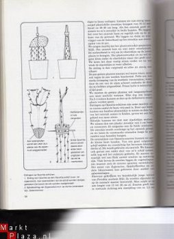 Elseviers Cactussenboek, 1978, nieuwstaat. - 1