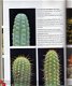 Elseviers Cactussenboek, 1978, nieuwstaat. - 1 - Thumbnail