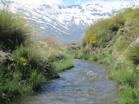 zuid spanje, hartje andalusie, vakantiehuizen te huur - 1