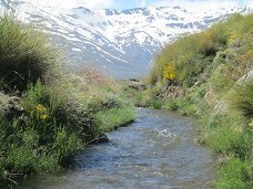 zuid spanje, hartje andalusie, vakantiehuizen te huur