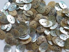 10 seashell buttons oval