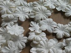 10 paper flowers white