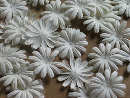 10 paper daisies - 1