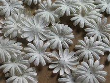 10 paper daisies