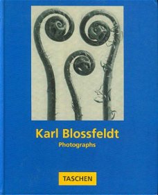 Karl Blossfeldt; Photographs